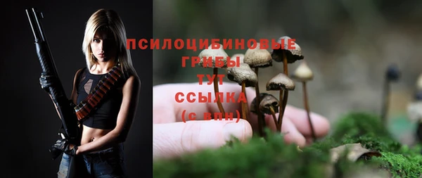 jwh Беломорск